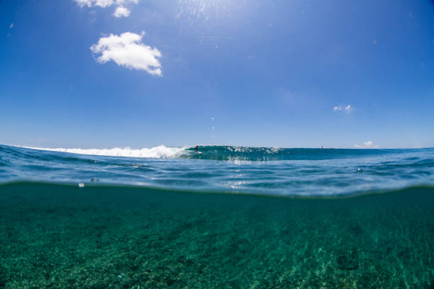 istock Surfing in the Maldives 1289021586