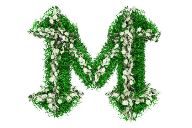 letra m de hierba verde y flores. renderizado en 3d - m chamomilla fotografías e imágenes de stock