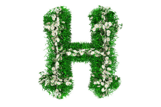 녹색 잔디와 꽃의 문자 h. 3d 렌더링 - letter h alphabet three dimensional shape green 뉴스 사진 이미지