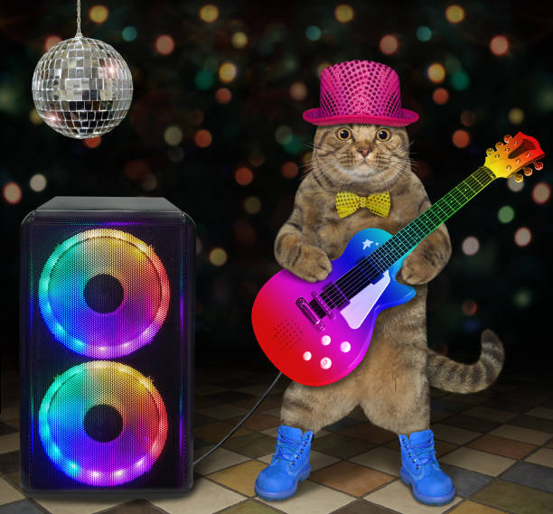 istock Cat guitar player in nightclub 1289022538