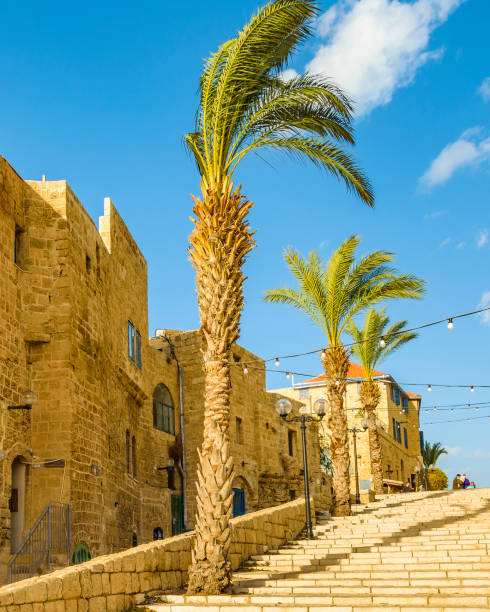 istock Old Jaffa City, Israel 1289023712