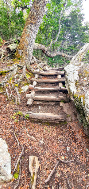 istock Wooden  stairs 1289024511