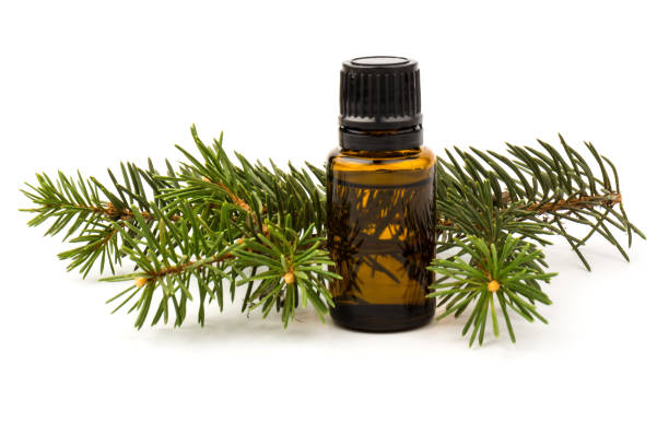 istock Spruce essential oil in a bottle, with fresh spruce twigs on white background 1289025560