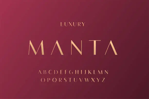 Vector illustration of Elegant alphabet letters font and number. Classic elegant Lettering Minimal Fashion Designs