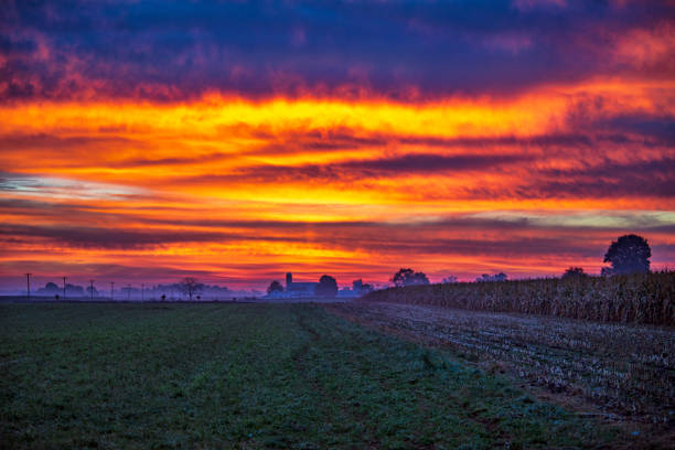 Sunrise over Farmland