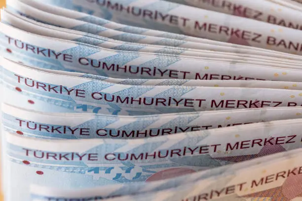 Photo of Close up 100 Turkish Liras.