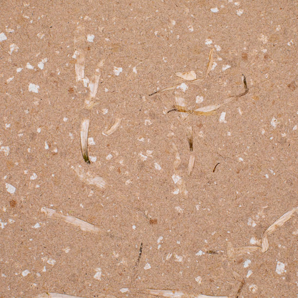 istock handmade paper with flower petals 1289028463