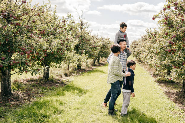 istock Family picking apple at the farm together 1289029135