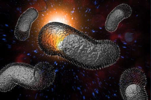 Close up 3D illustration of microscopic Cholera bacteria infection