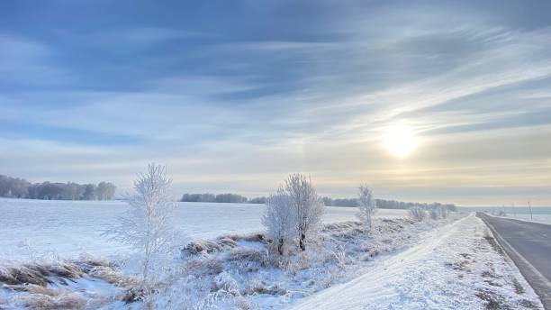 istock The walking in the winter forest. 1289030811