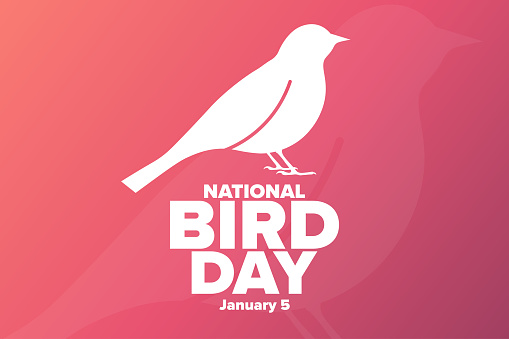 National Bird Day. January 5. Holiday concept. Template for background, banner, card, poster with text inscription. Vector EPS10 illustration