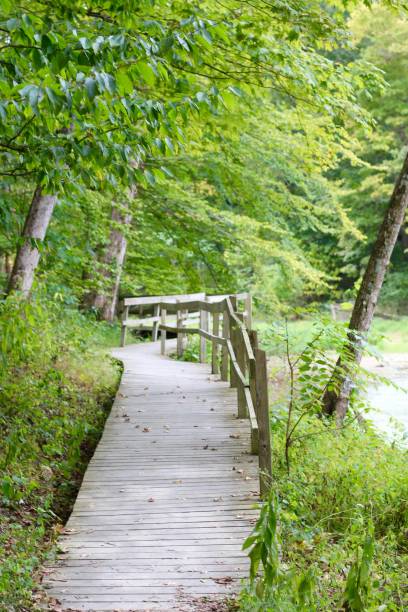 istock Old Wood Boardwalk on the Trail 1289036819