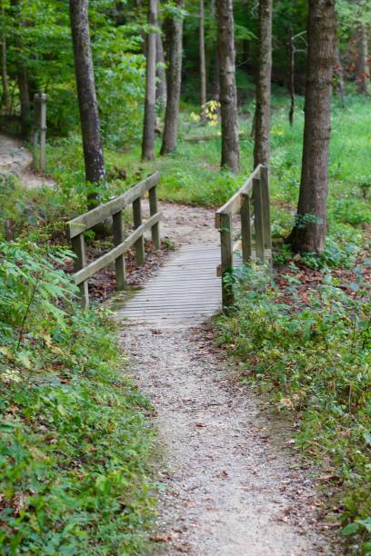 istock Old Wood Bridge on the Trail 1289036827