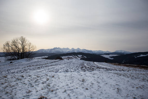 istock View to Podhale in winter 1289037593