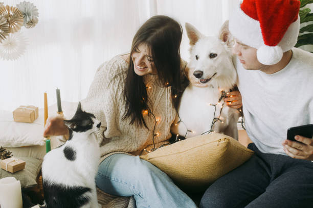 お祝いの装飾されたボホルームでかわいい犬と猫と一緒に座っている幸せな若い家族。メリークリスマス！ - family room ストックフォトと画像