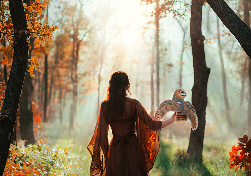 Dark mysterious blurred silhouette of a woman with an owl that sits on her arm and flaps her wings. Fantasy photography a girl fairy walks in misty dense autumn forest. Back rear view. Red silk dress