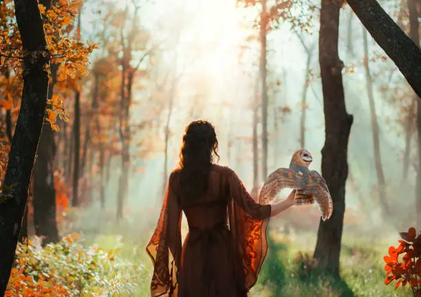 Dark mysterious blurred silhouette of a woman with an owl that sits on her arm and flaps her wings. Fantasy photography a girl fairy walks in misty dense autumn forest. Back rear view. Red silk dress