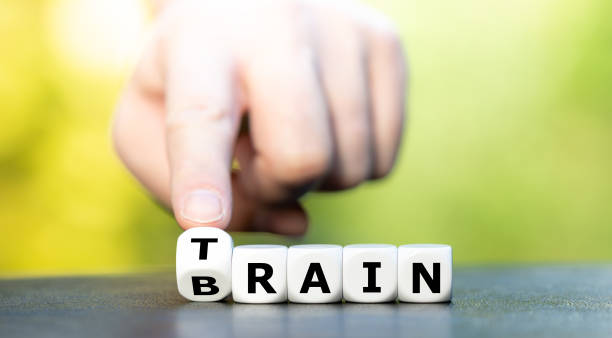 train your brain. dice form the words train and brain. - treino imagens e fotografias de stock