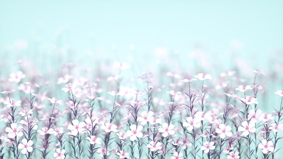 3d rendering of Flower Nature Background with bokeh's.