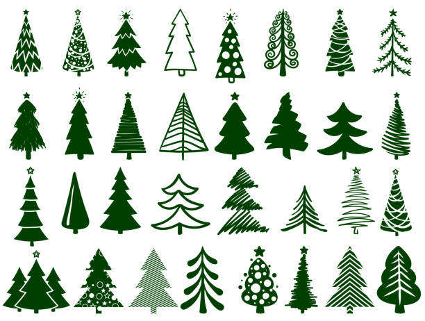 Christmas tree set. Bundle of various Christmas trees isolated on a white background white background sign snow winter stock illustrations
