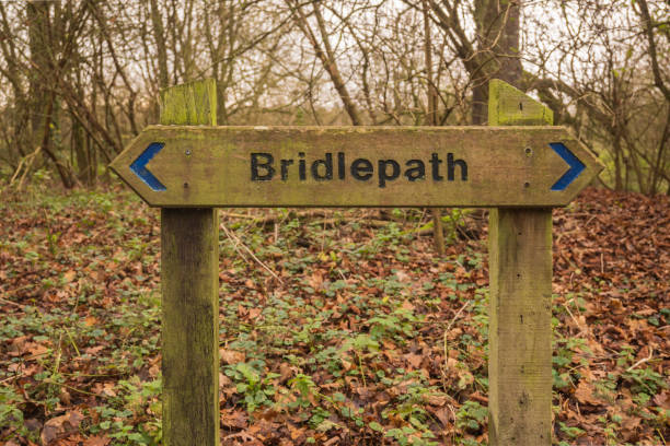 istock Bridlepath sign in wood 1289054242