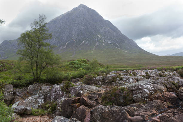 Mountain Buachaille Etive Mor in Glencoe, Scotland Mountain Buachaille Etive Mor, tree and try River bed in foreground,  Glencoe, Scotland etive river photos stock pictures, royalty-free photos & images
