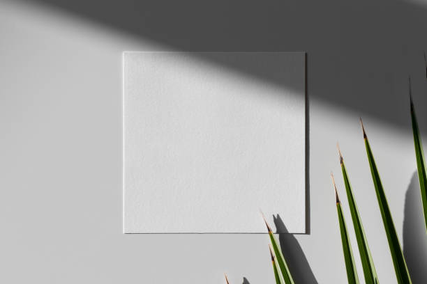 istock Invitation square card mockup with a palm leaf. 1289057915