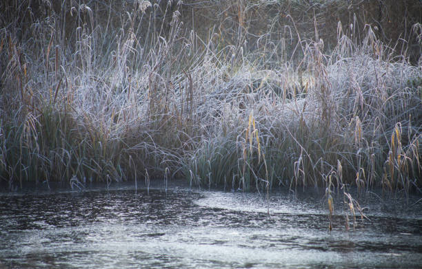 istock Frosty lake landscape during beautiful sunny winter day. 1289060350
