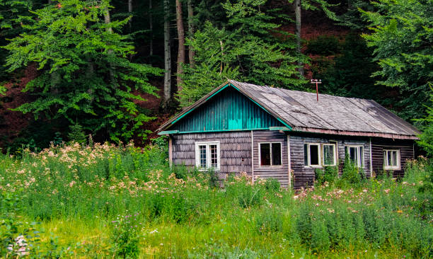 istock Cabin in the woods 1289060383
