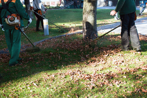istock Autumn work in the park. The gardener cuts the grass before winter. 1289060919