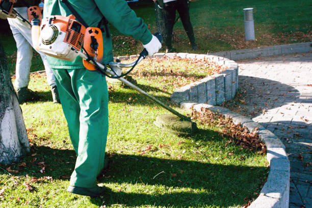 istock Autumn work in the park. The gardener cuts the grass before winter. 1289060920