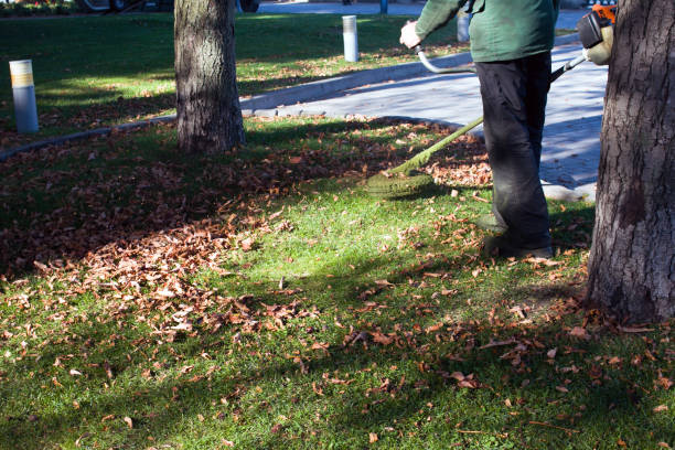 istock Autumn work in the park. The gardener cuts the grass before winter. 1289060932