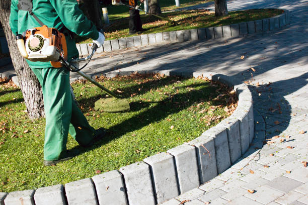 istock Autumn work in the park. The gardener cuts the grass before winter. 1289060946