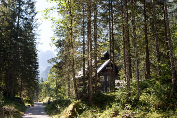 Old water mill in Durmitor National Park, Montenegro