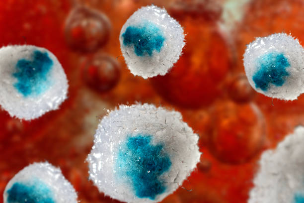 istock Meningitis Bacteria Infection 3D Illustration 1289065277