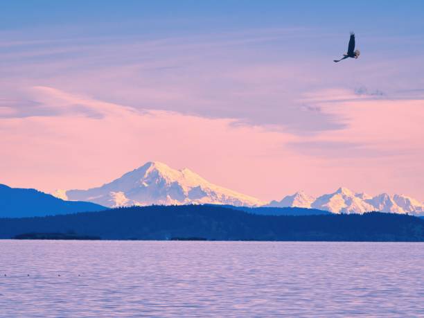 Mt. Baker view at sunset time from Island View Beach on Vancouver Island BC. stock photo