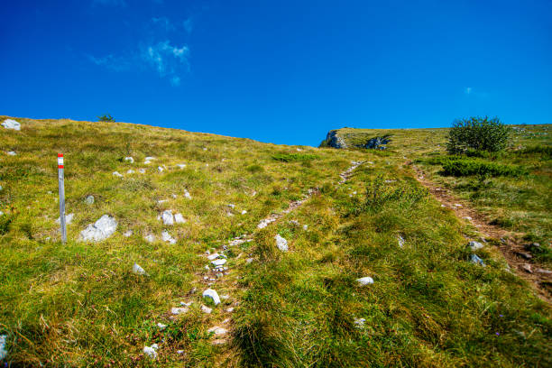 istock Dry Mountain or Suva Planina 1289066334