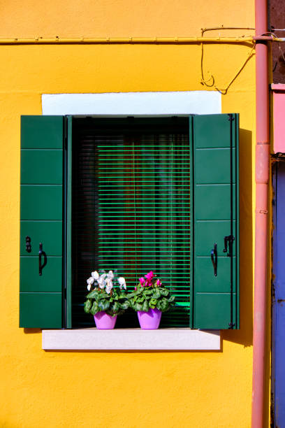 istock Green window with pots of cyclamen 1289068955