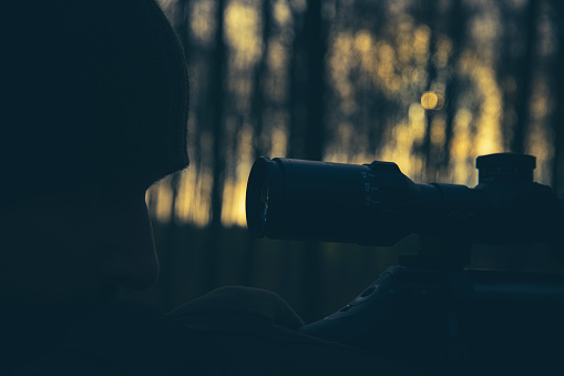 Hunter aiming with rifle scope in low light dawn settings in forest.
