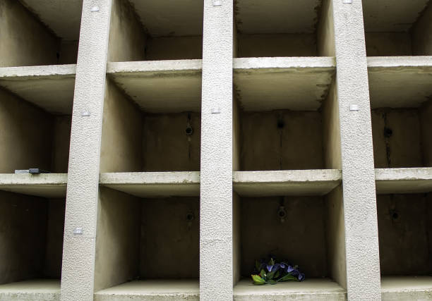 The gravestones in the cemetery are in China，Rows of tombstones in Chinese cemeteries, offering sacrifices on tomb-sweeping day
