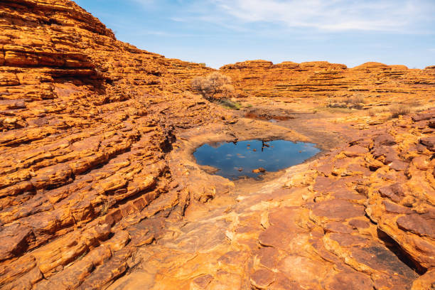 istock Kings Canyon in center Australia 1289071525