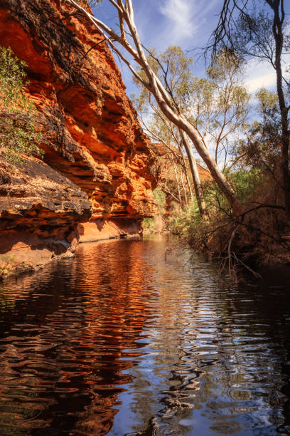 istock Kings Canyon in center Australia 1289071534