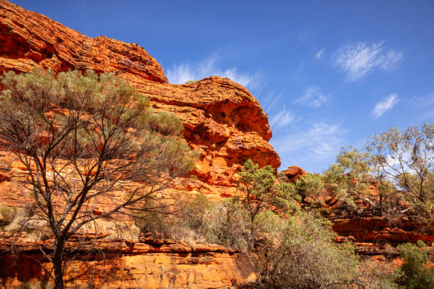 istock Kings Canyon in center Australia 1289071543