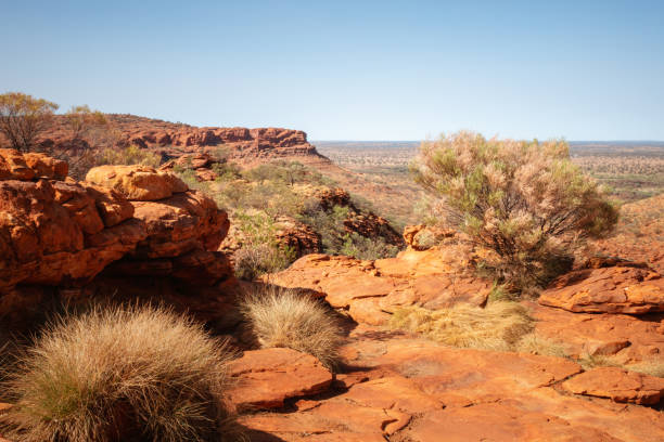istock Kings Canyon in center Australia 1289071545