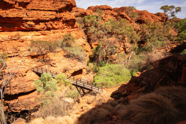 istock Kings Canyon in center Australia 1289071548