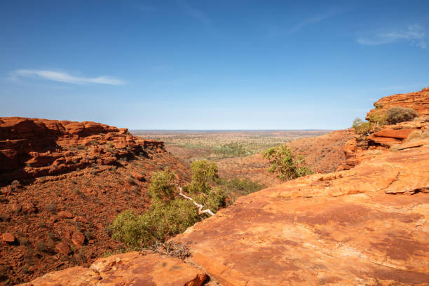 istock Kings Canyon in center Australia 1289071551