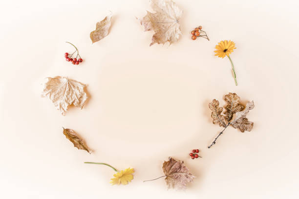 istock Autumn frame layout. Pattern from yellow dry autumn leaves and flowers on orange background. Flat lay, copy space for text. Fall still life 1289073091