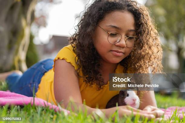 Black Girl Holding Her New Pet Outdoors Stock Photo - Download Image Now - Guinea Pig, Child, Pets