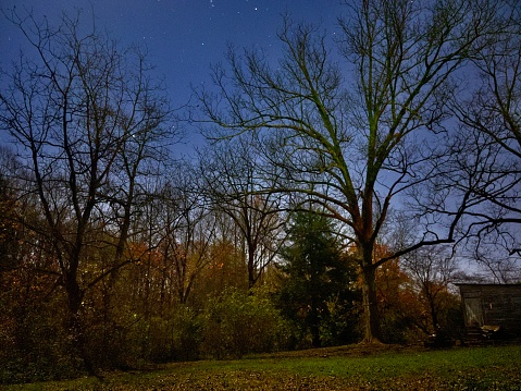 Backyard night sky