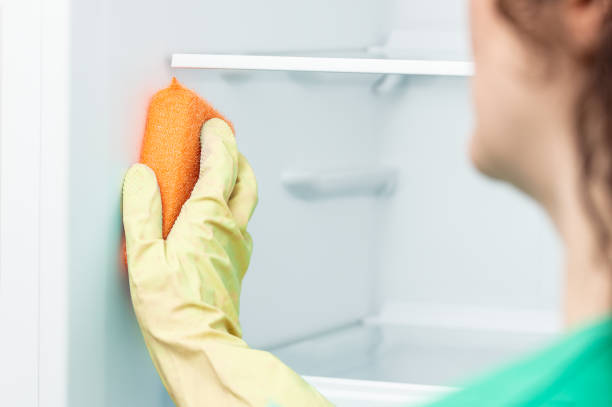istock woman cleaning the empty fridge 1289077412